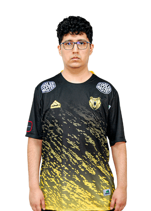 VROUM BUS DRIVER Profile Photo